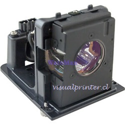 Lampara proyector Optoma H77 H76 H78 H79 BL-FU250E